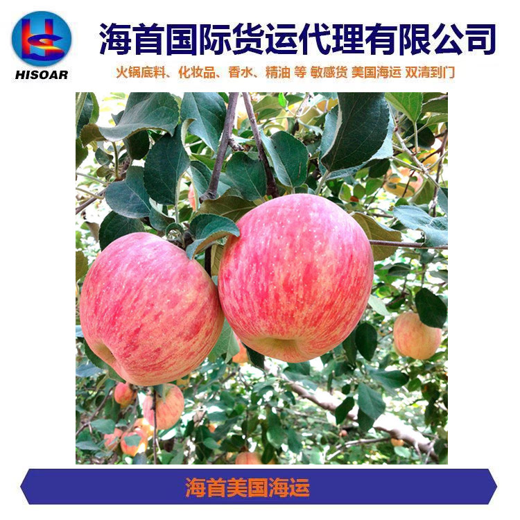 冷藏集裝箱